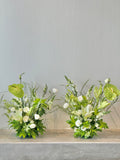 Verdant Whisper