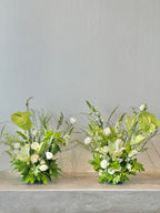 Verdant Whisper