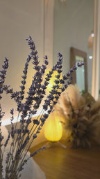 Store Decoration